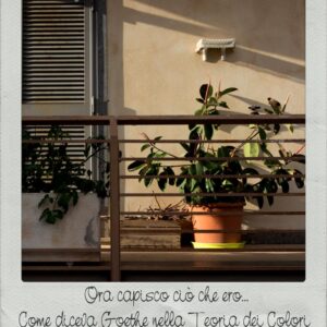 corso diario fotografico